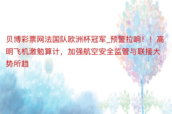 贝博彩票网法国队欧洲杯冠军_预警拉响！！高明飞机激勉算计，加强航空安全监管与联接大势所趋