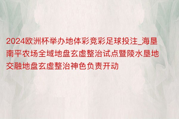2024欧洲杯举办地体彩竞彩足球投注_海垦南平农场全域地盘玄虚整治试点暨陵水垦地交融地盘玄虚整治神色负责开动