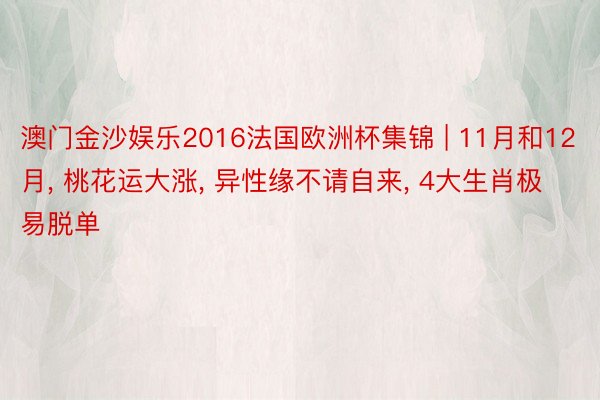 澳门金沙娱乐2016法国欧洲杯集锦 | 11月和12月, 桃花运大涨, 异性缘不请自来, 4大生肖极易脱单